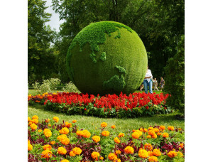 Топиарии садово-парковая фигура арт-объект «зеленая планета»